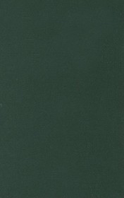 The European Parliament, Second Edition