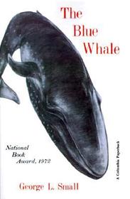 Blue Whale