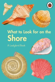 What to Look For by the Shore
