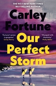 Our Perfect Storm