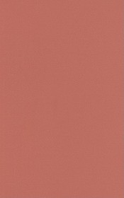 Labor`s Cold War – Local Politics in a Global Context: Local Politics in a Global Context