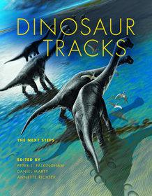 Dinosaur Tracks: The Next Steps