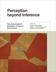 Perception Beyond Inference ? The Information Content of Visual Processes