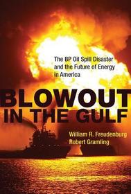 Blowout in the Gulf ? The BP Oil Spill Disaster and the Future of Energy in America