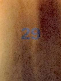 Perspecta 29 ? Into the Fire ? The Yale Architectural Journal: The Yale Architecture Journal