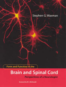 Form and Function in the Brain and Spinal Cord ? Perspectives of a Neurologist