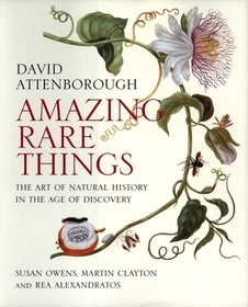 Amazing Rare Things – The Art of Natural History in the Age of Discovery