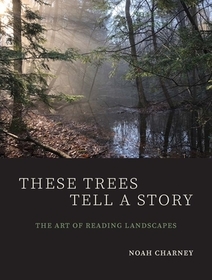 These Trees Tell a Story – The Art of Reading Landscapes