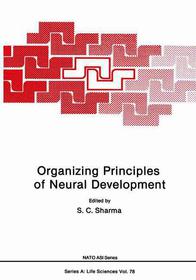Organizing Principles of Neural Development