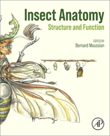 Insect Anatomy: Structure and Function Insect Anatomy: Structure and Function