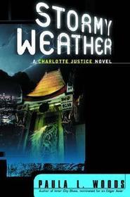 Stormy Weather - A Charlotte Justice Novel: Using Trends and Scenarios as Tools for Strategy Development