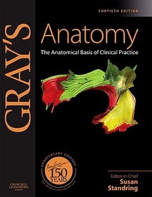 Gray's Anatomy: The Anatomical Basis of Clinical Practice, Expert Consult - Online and Print