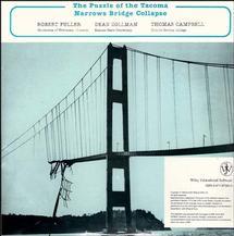 The Puzzle of the Tacoma Narrows Bridge Collapse: Fundamentals of Physics
