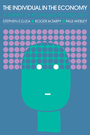 The Individual in the Economy: A Textbook of Economic Psychology