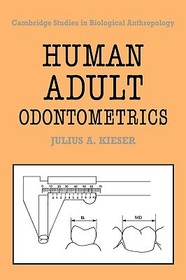 Human Adult Odontometrics: The Study of Variation in Adult Tooth Size