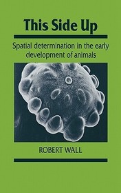 This Side Up: Spatial Determination in the Early Development of Animals