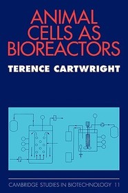 Animal Cells as Bioreactors