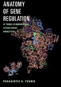 Anatomy of Gene Regulation: A Three-Dimensional Structural Analysis