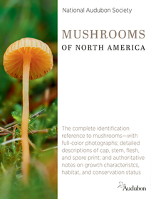 National Audubon Society Mushrooms of North America National Audubon Society Mushrooms of North America