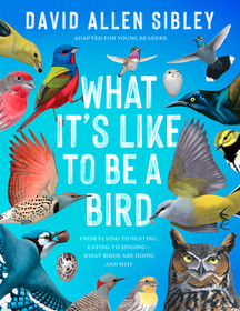 What It's Like to Be a Bird (Adapted for Young Readers): From Flying to Nesting, Eating to Singing--What Birds Are Doing and Why What It's Like to Be a Bird (Adapted for Young Readers): From Flying to Nesting, Eating to Singing--What Birds Are Doing and Why