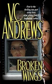 Broken Wings: Volume 1
