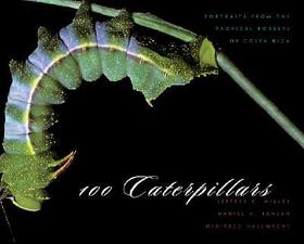 100 Caterpillars - Portraits from the Tropical Forests of Costa Rica