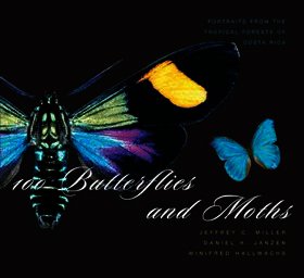 100 Butterflies and Moths - Portraits from the Tropical Forests of Costa Rica