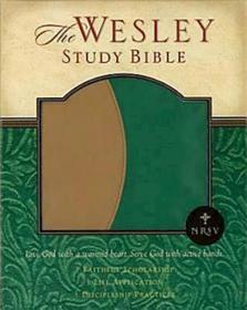 Wesley Study Bible-NRSV