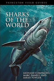 Sharks of the World Sharks of the World