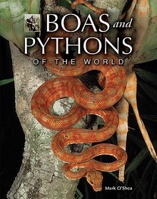 Boas and Pythons of the World