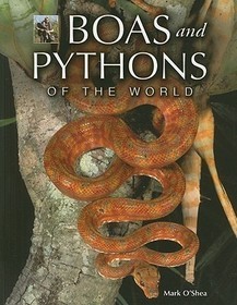 Boas and Pythons of the World