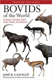 Bovids of the World: Antelopes, Gazelles, Cattle, Goats, Sheep, and Relatives