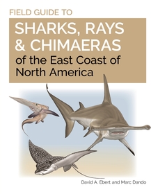 Field Guide to Sharks, Rays and Chimaeras of the East Coast of North America Field Guide to Sharks, Rays and Chimaeras of the East Coast of North America