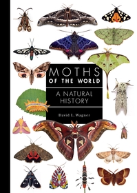 Moths of the World: A Natural History Moths of the World: A Natural History