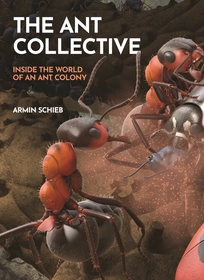 The Ant Collective: Inside the World of an Ant Colony The Ant Collective: Inside the World of an Ant Colony