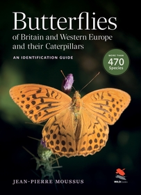 Butterflies of Britain and Western Europe and Their Caterpillars: An Identification Guide