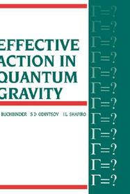 Effective Action in Quantum Gravity