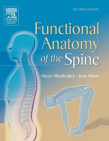 Functional Anatomy of the Spine Functional Anatomy of the Spine