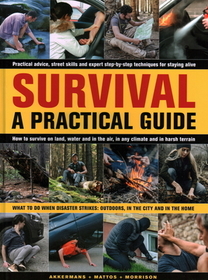 Survival: A Practical Guide: What to Do When Disaster Strikes: Outdoors, in the City and in the Home Survival: A Practical Guide: What to Do When Disaster Strikes: Outdoors, in the City and in the Home