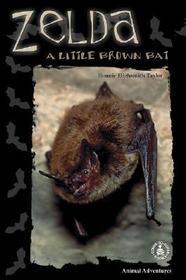 Zelda: A Little Brown Bat