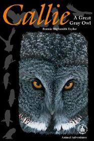 Callie: A Great Gray Owl