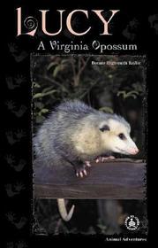 Lucy: A Virginia Opossum
