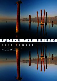 Facing the Bridge: Language Variation as Social Practice