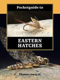 Pocketguide to Eastern Hatches Pocketguide to Eastern Hatches