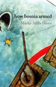 How Bosnia Armed: The Birth And Rise of the Bosnian Army