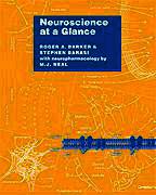 Neuroscience at a Glance