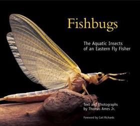 Fishbugs – The Aquatic Insects of an Eastern Fly Fisher: A History of the Archaic Greek World
