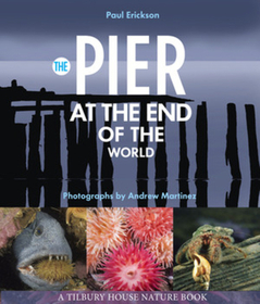 The Pier at the End of the World The Pier at the End of the World