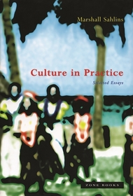 Culture in Practice: Selected Essays