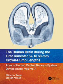 The Human Brain during the First Trimester 57- to 60-mm Crown-Rump Lengths: Atlas of Human Central Nervous System Development, Volume 7 The Human Brain during the First Trimester 57- to 60-mm Crown-Rump Lengths: Atlas of Human Central Nervous System Development, Volume 7